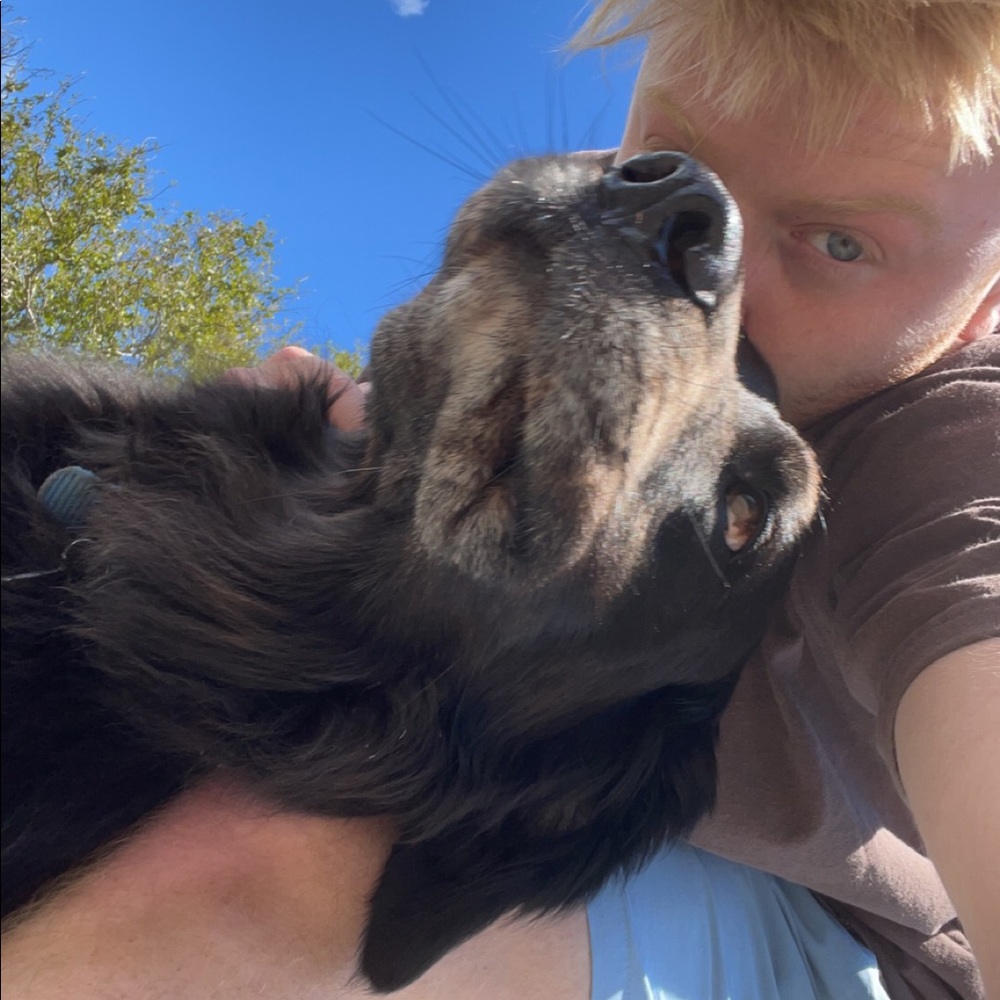 Meet your Posher, Thomas